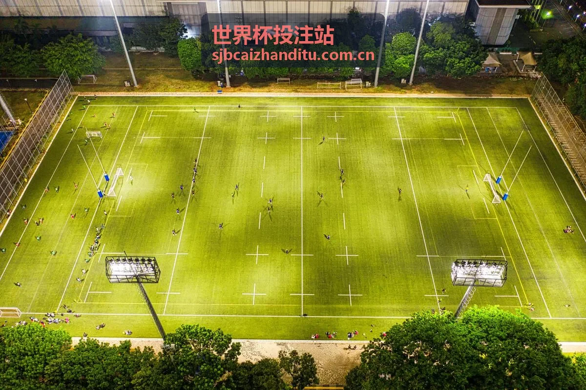 世界杯投注站组合投注策略